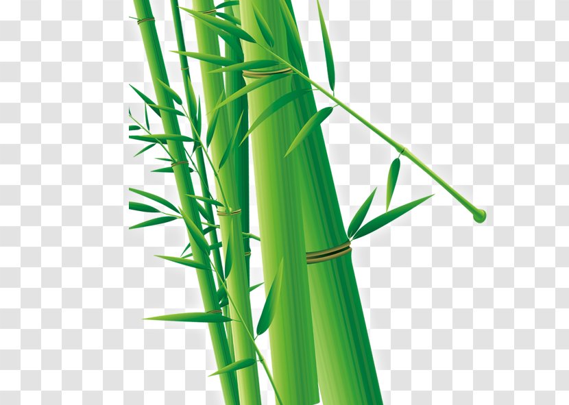 Bamboo Cdr Euclidean Vector - Silhouette - Green Transparent PNG