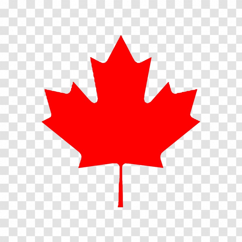 Flag Of Canada Maple Leaf The United States - Great Canadian Debate - Red Leaves Transparent PNG