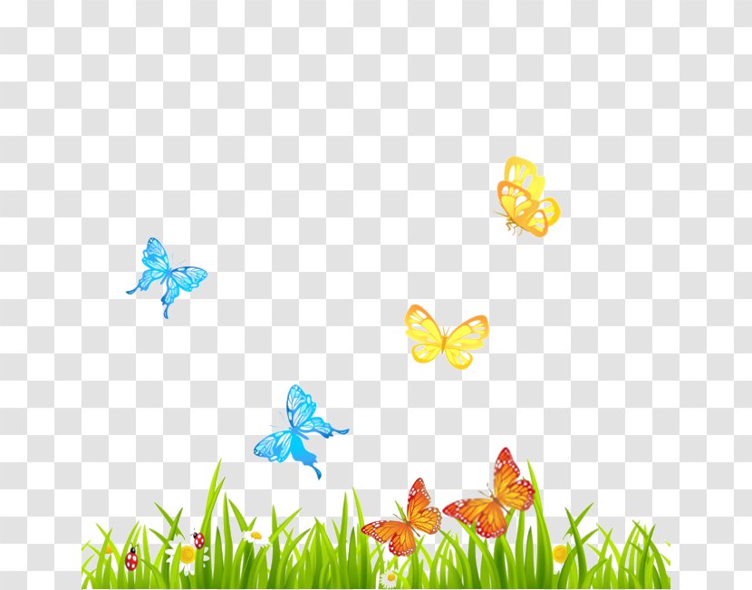 Butterfly Adobe Photoshop Image - Organism - Flowers And Plants Transparent PNG