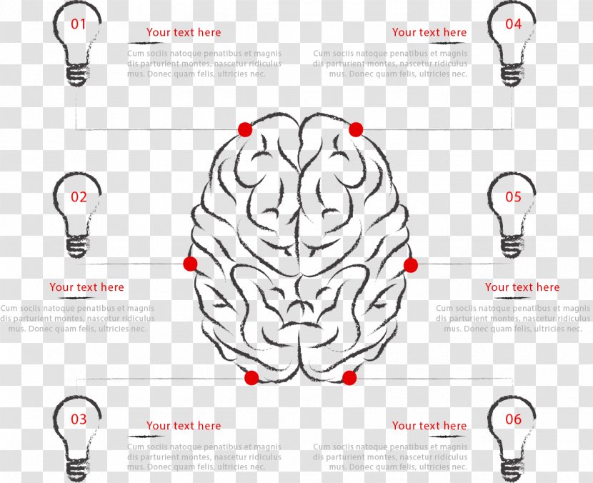 Human Brain Agy Infographic Euclidean Vector - Tree - Bulb Label Classification Transparent PNG