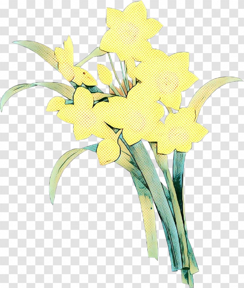 Flowers Background - Flower - Iris Amaryllis Family Transparent PNG