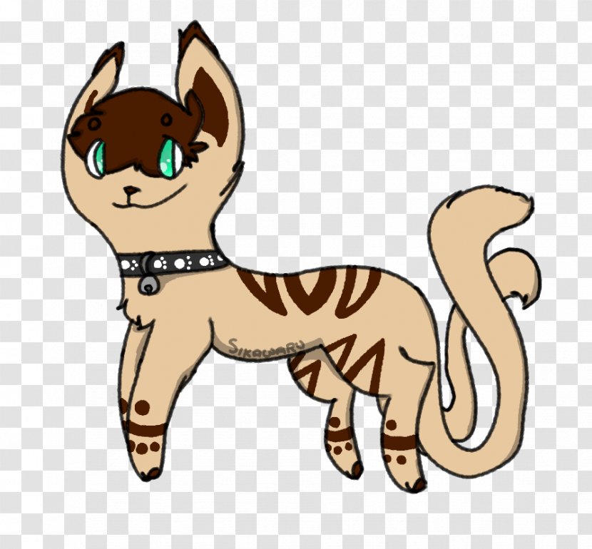 Kitten Whiskers Cat Paw Canidae - Cartoon Transparent PNG