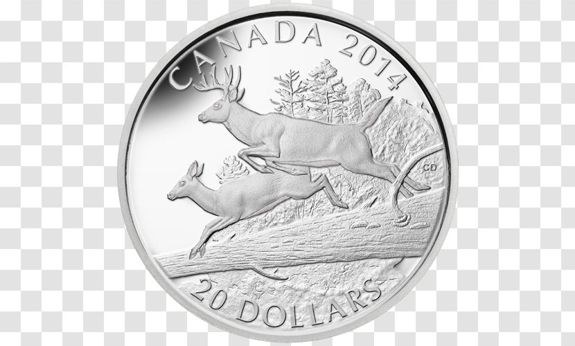 White-tailed Deer Reindeer Coin Silver - Mint Transparent PNG