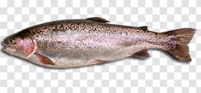 Fish Rainbow Trout Whole Food Raw Foodism - Perch - COOKED Transparent PNG