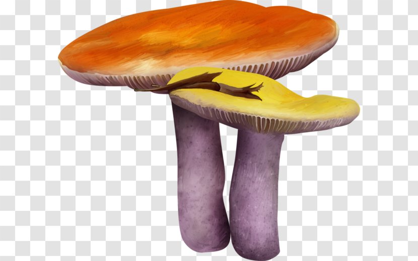 Mushroom Fungus Drawing - Vecteur - Hand-painted Mushrooms Transparent PNG