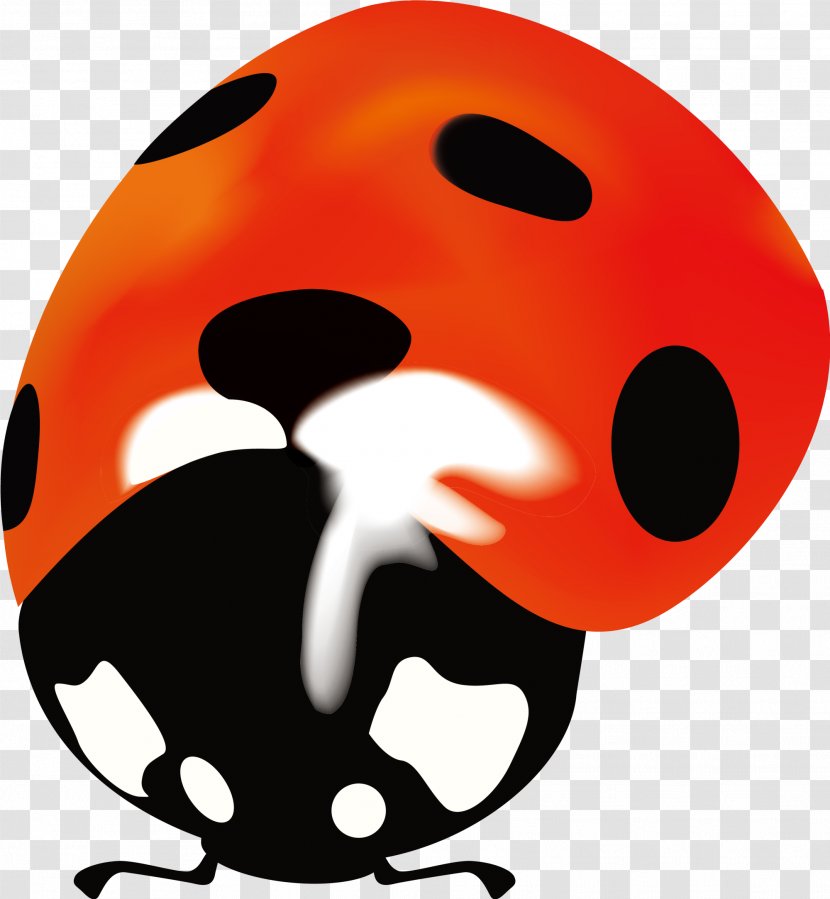 Snout Lady Bird Clip Art - Orange Simple Ladybug Transparent PNG