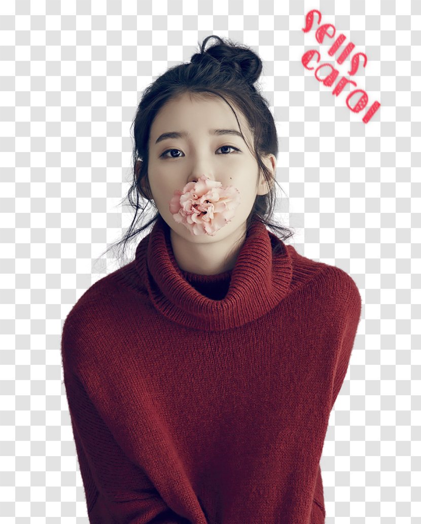 IU South Korea K-pop Korean Female - Cartoon - Silhouette Transparent PNG