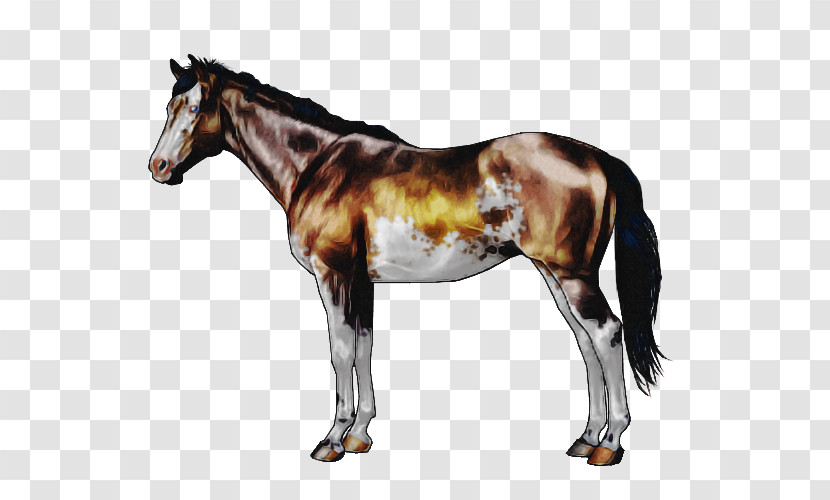 Horse Animal Figure Sorrel Mare Stallion Transparent PNG