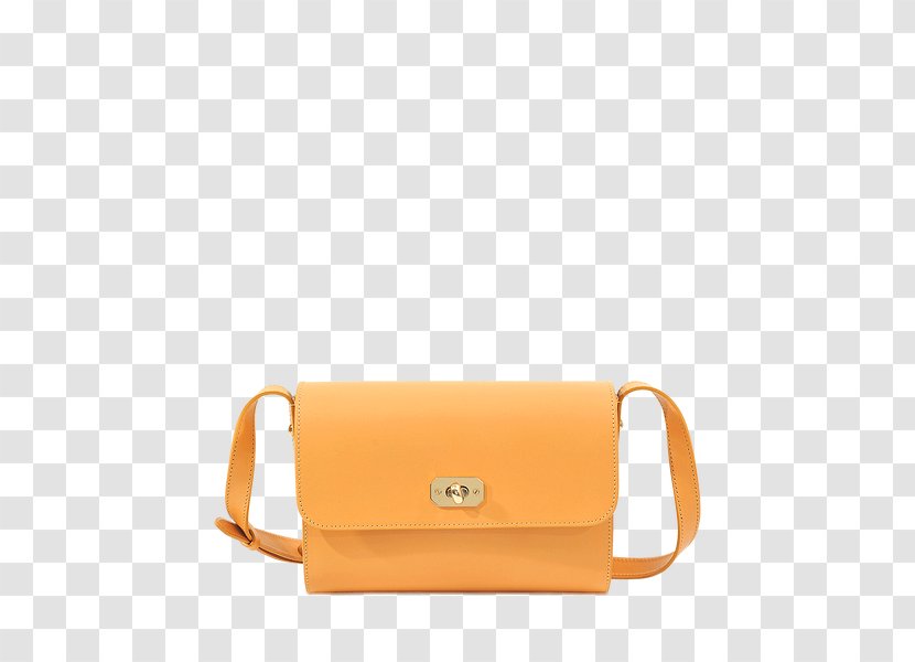 Handbag Leather Beige Messenger Bags - Pocket - Bag Transparent PNG