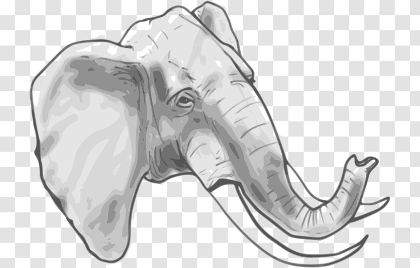 African Elephant Clip Art - Tree Transparent PNG