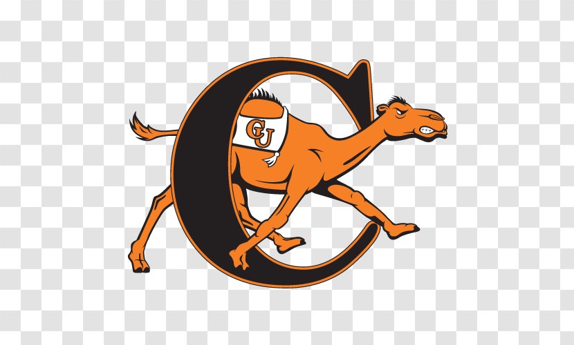 Campbell University Fighting Camels Men's Basketball Women's Longwood Football - Carnivoran - Cartoon Transparent PNG