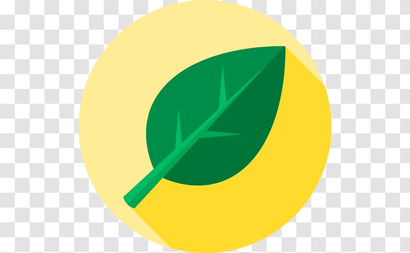 Green Clip Art - Fruit - Design Transparent PNG