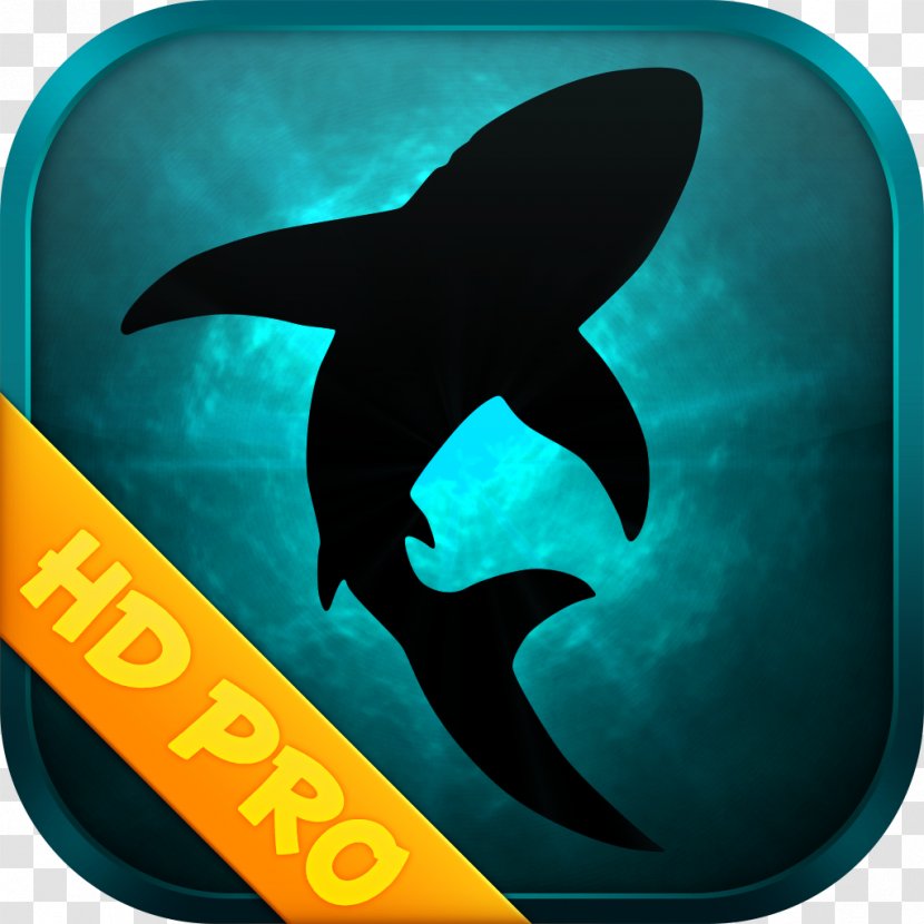 Computer Software Asphalt 8: Airborne Racing Games Android CDBurnerXP - Program - Diving Transparent PNG