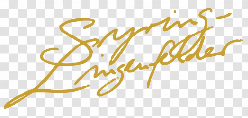 Calligraphy Logo Brand Font - Art - Line Transparent PNG