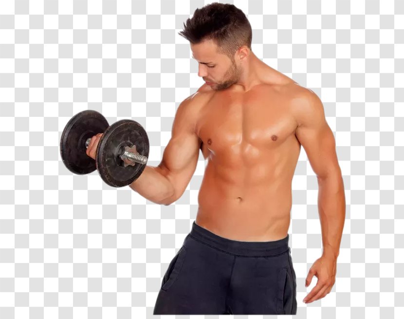 Weight Training Exercise Physical Fitness Loss Olympic Weightlifting - Frame - Dumbbell Transparent PNG