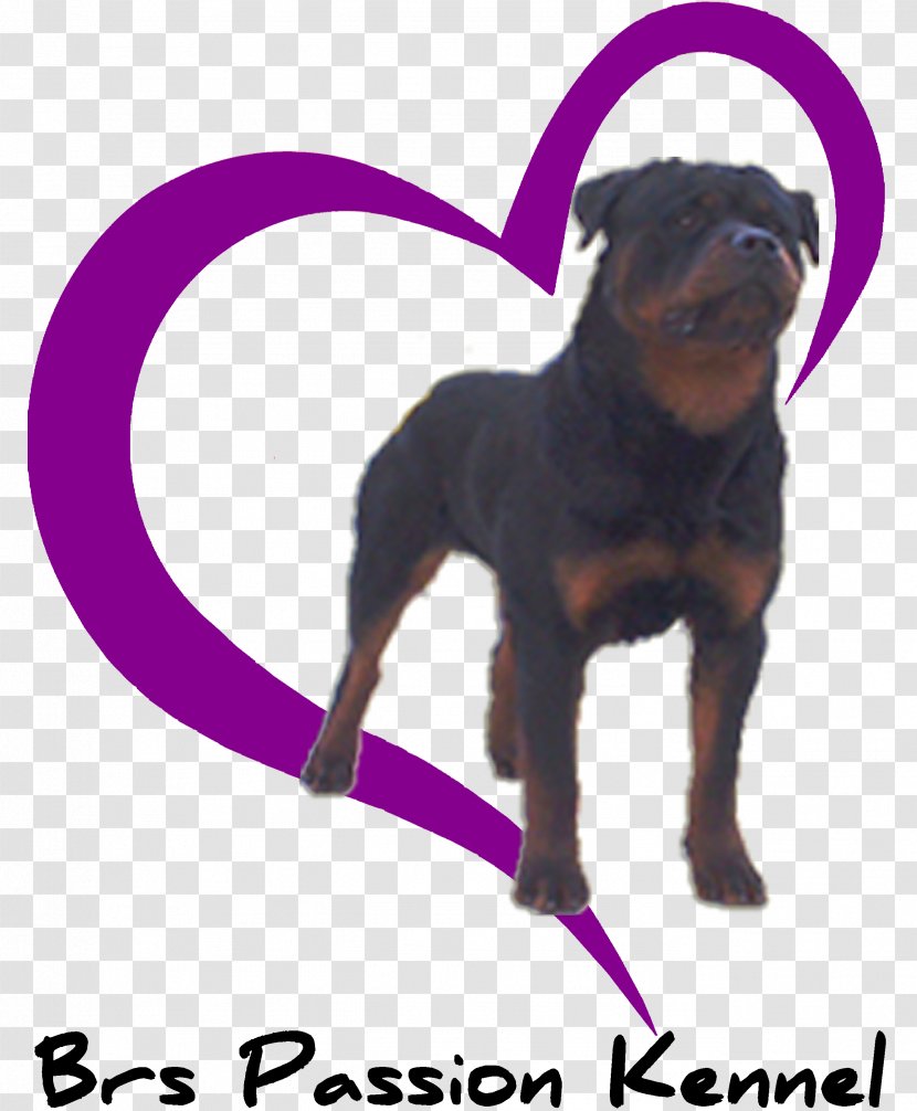 Puppy Il Rottweiler Dog Houses Childbirth Transparent PNG