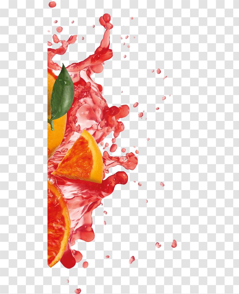 Punch Juice Still Life Photography Fruit Drink - Food - Energy Burst Orange Transparent PNG
