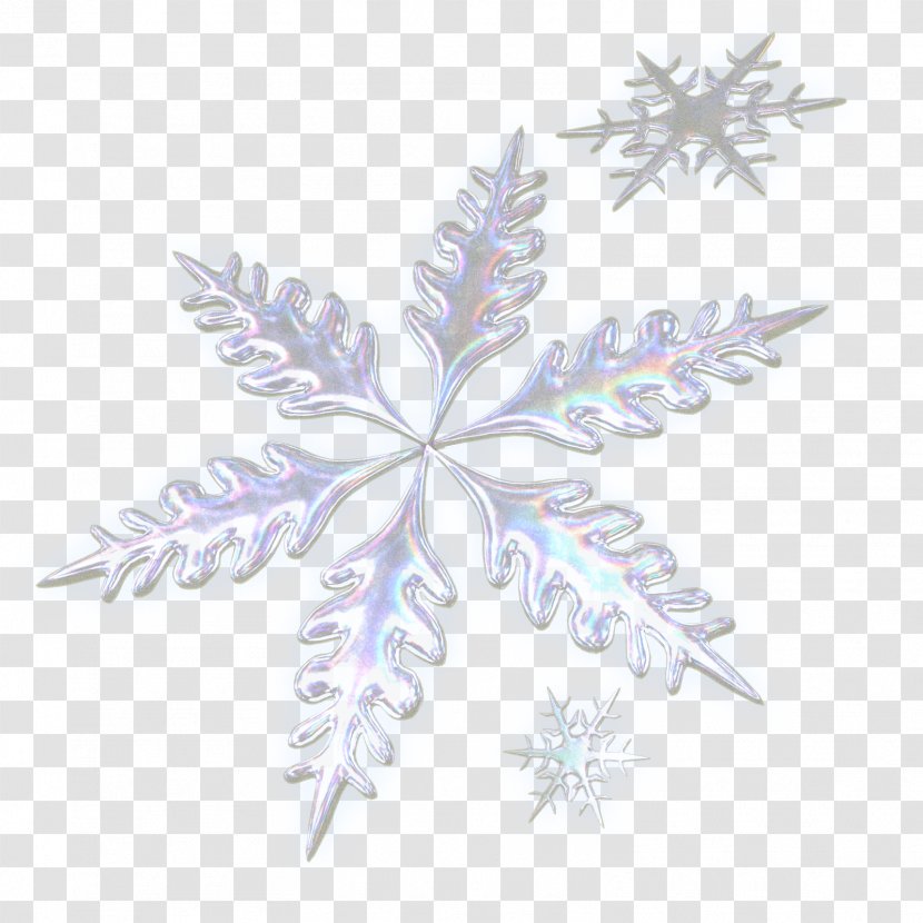 Christmas Tree Advent Calendars Snowflake Clip Art - Snowing Photo Transparent PNG