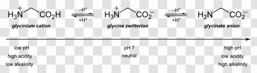 Isoelectric Point Amino Acid Glycine Alanine - Silhouette - Propionyllcarnitine Transparent PNG
