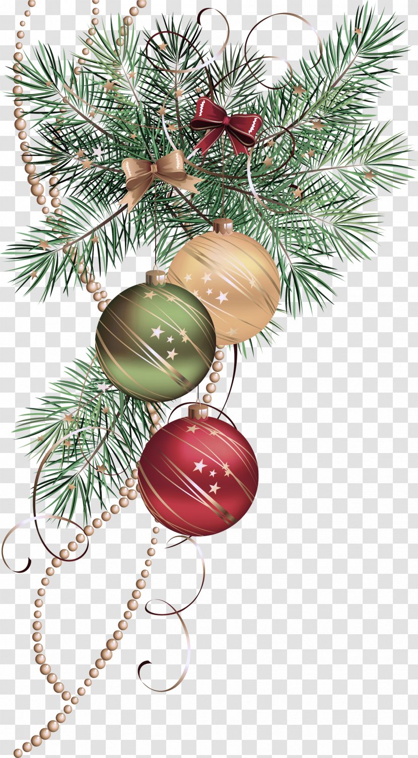 Christmas Ornament - Colorado Spruce - Pine Transparent PNG