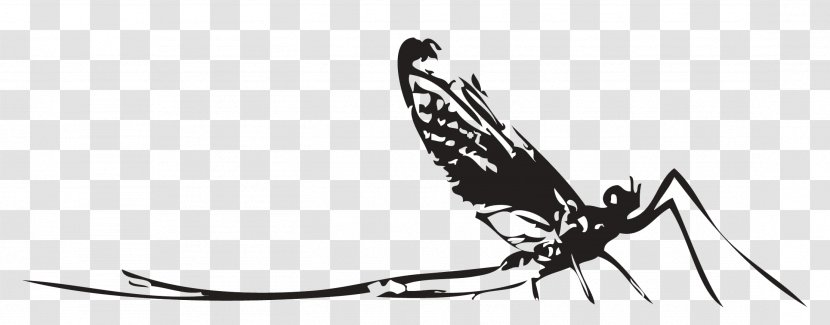 Butterfly Mosquito Nymph Insect Clip Art - Monochrome Photography Transparent PNG
