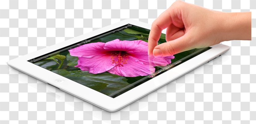 IPad 3 2 Display Resolution Retina - Apple Ipad Family Transparent PNG