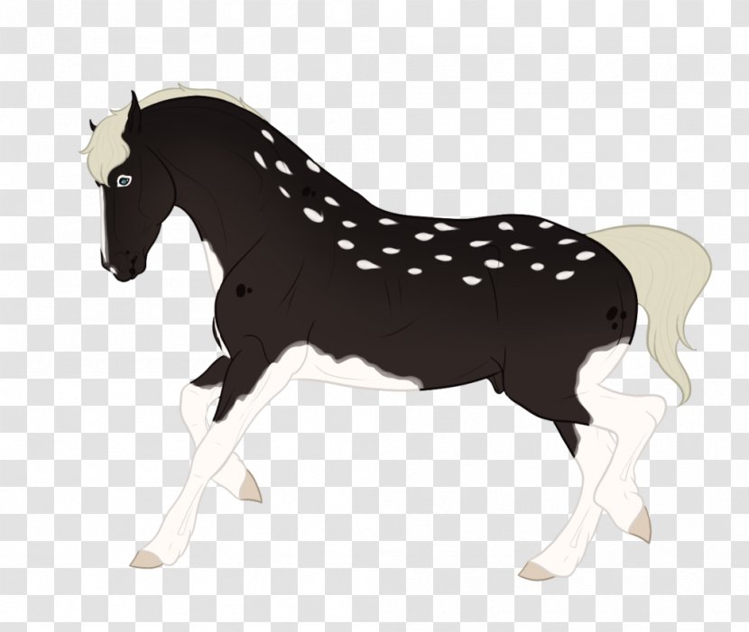 Mustang Stallion Foal Mare Colt - Pony Transparent PNG