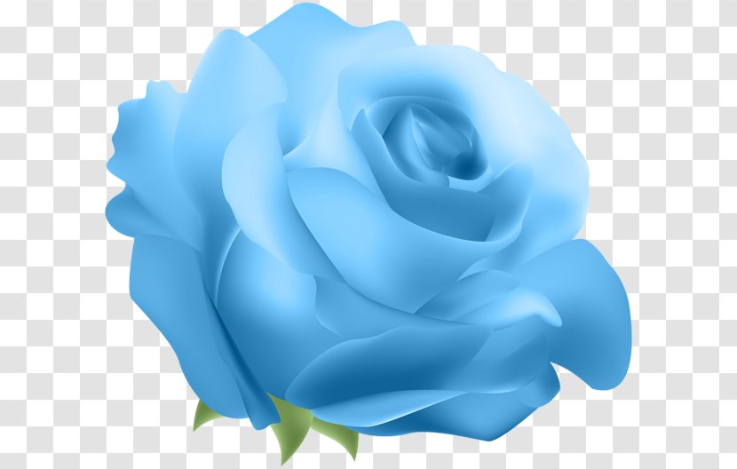 Blue Rose Flower Clip Art - Petal Transparent PNG