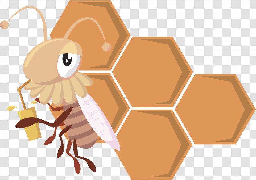 Honey Bee Insect Honeycomb - Arthropod Transparent PNG