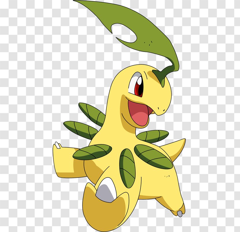 Chikorita Pikachu Pokémon Clip Art - Plant Transparent PNG