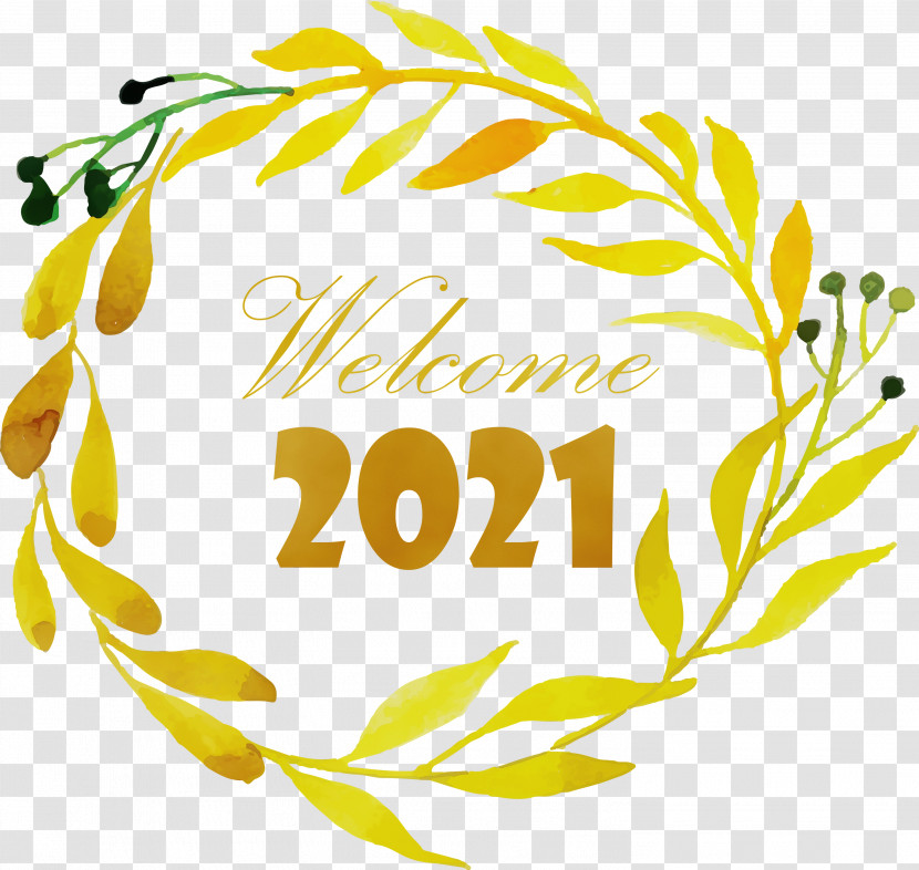 Floral Design Transparent PNG