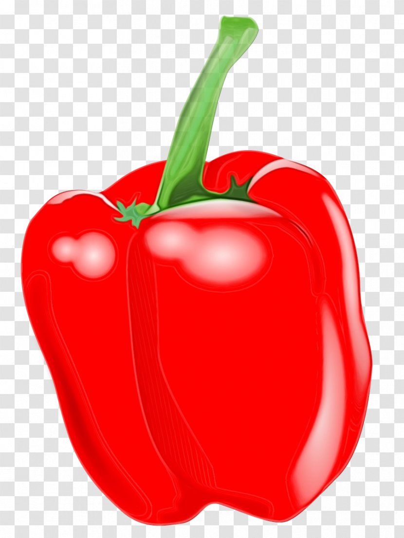 Vegetable Cartoon - Red Bell Pepper - Vegan Nutrition Nightshade Family Transparent PNG