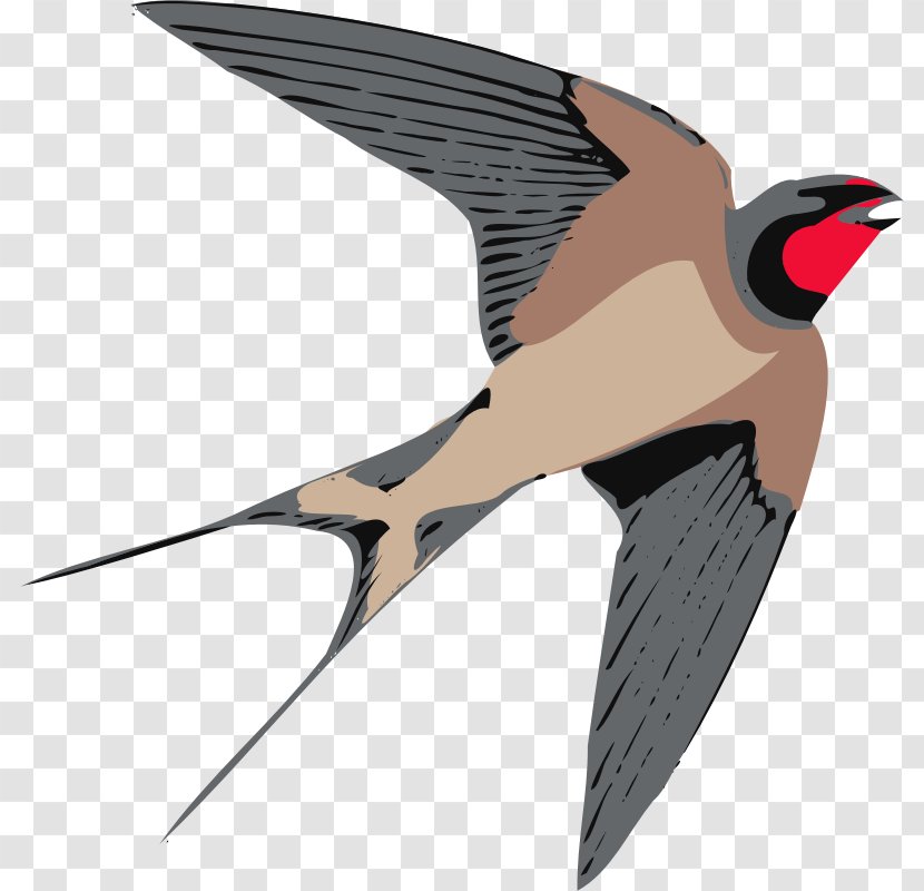 Swallow Bird Clip Art - Flickr - Eflower Transparent PNG