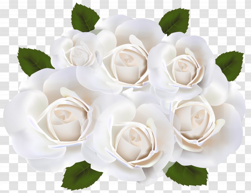 Rose White Wedding Ring Clip Art - Cut Flowers Transparent PNG