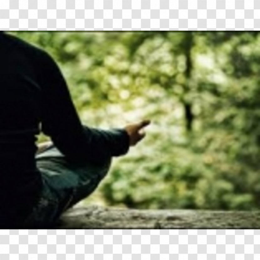 Meditation Buddhism Mindfulness In The Workplaces Vipassanā Mettā - Lovingkindness Transparent PNG