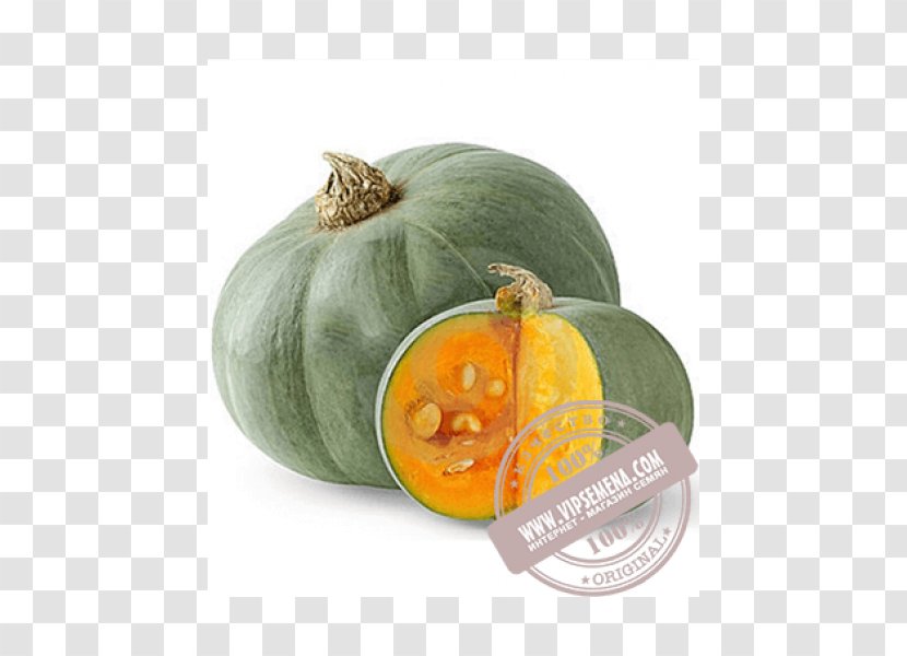 Calabaza Cucurbita Maxima Pumpkin Seed Vegetable - Winter Squash Transparent PNG