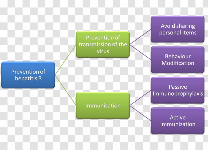 Criminal Law Sources Of Algemene Rechtsbeginselen Hepatitis - Viral Transparent PNG