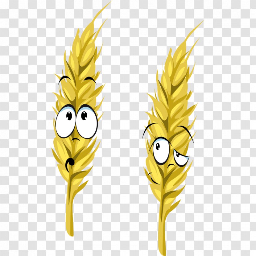 Common Wheat Ear Drawing - Royaltyfree - Funny Transparent PNG
