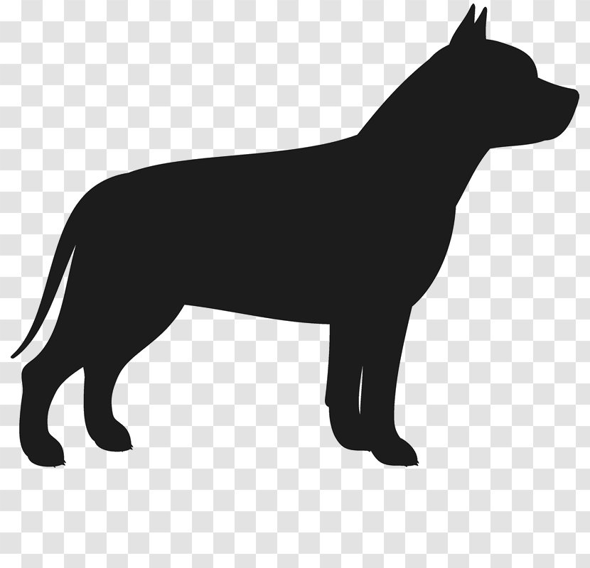 French Bulldog American Yorkshire Terrier Boston - Pitbull Transparent PNG