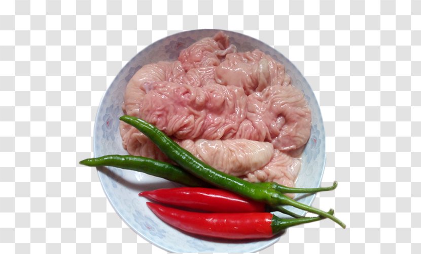 Domestic Pig Chitterlings Vegetable U732au5927u80a0 Food - Cartoon - Free To Pull The Material Intestine Image Transparent PNG