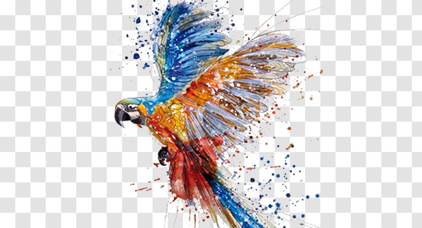 Parrot Watercolor Painting Drawing Art - Museum - Dancing Transparent PNG