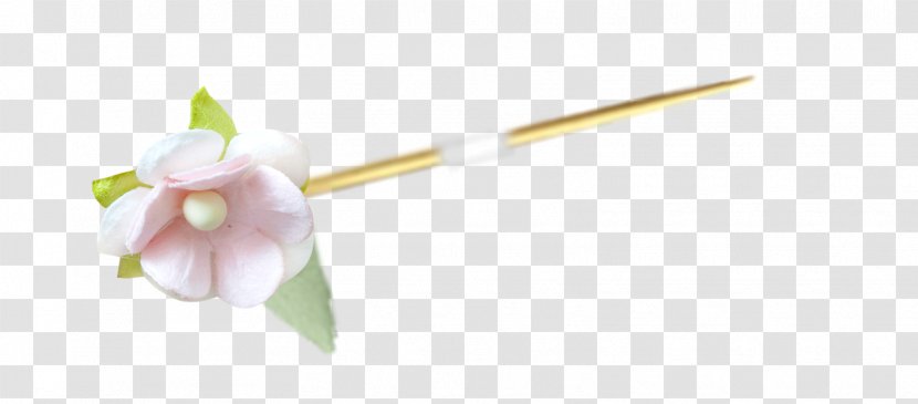 Cut Flowers Plant Stem Flowering Plants - Baby-shower-infant-party Transparent PNG