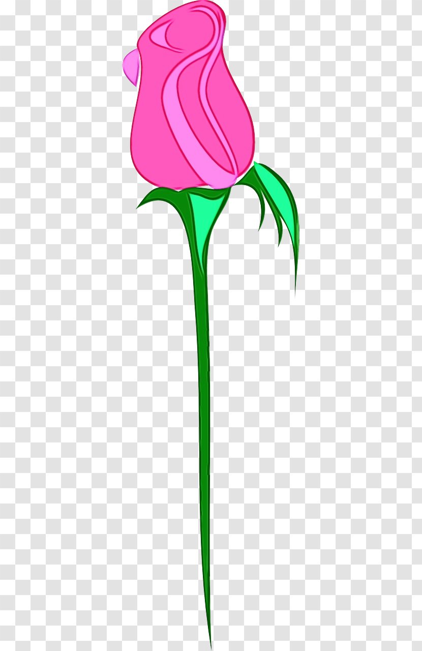 Lily Flower Cartoon - Plant - Family Pedicel Transparent PNG