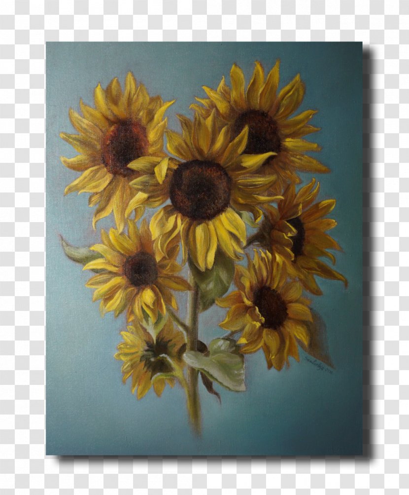 Common Sunflower Seed Still Life Photography - Plant - Sunflowers Transparent PNG