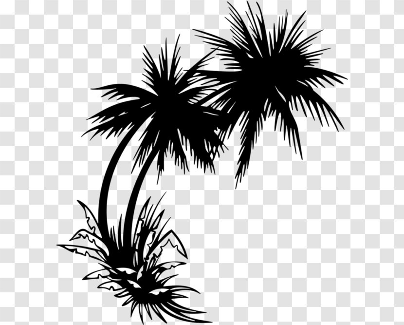 Clip Art Palm Trees Sticker Image - Beach Black And White Sunset Transparent PNG