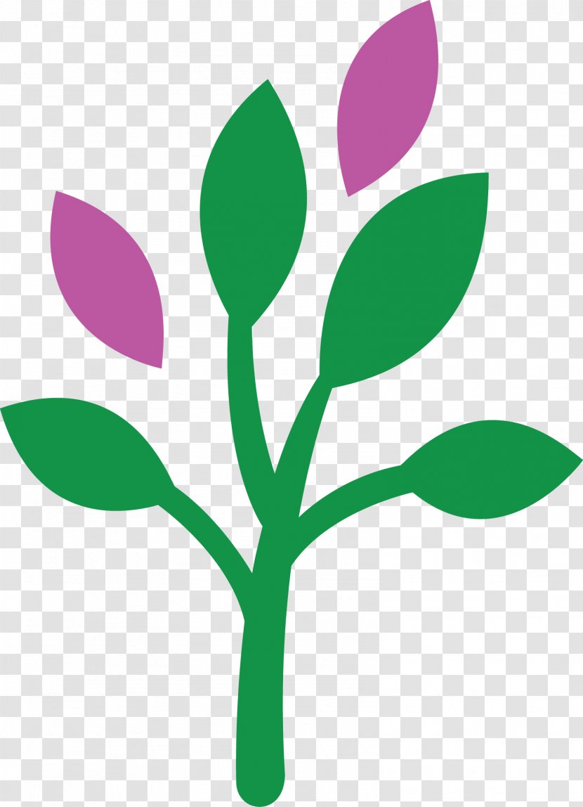 Naturopathy Shkatulka Hilo Natural Health Clinic Medicine - Branch - Logo Green Transparent PNG