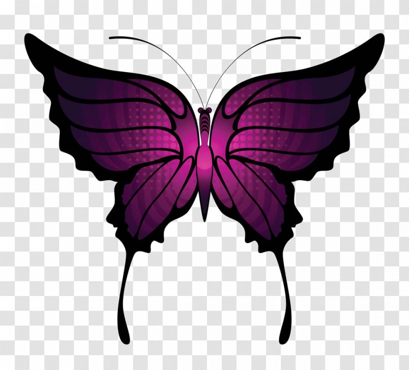 Butterfly Royalty-free Clip Art - Wing - Cartoon Material Transparent PNG