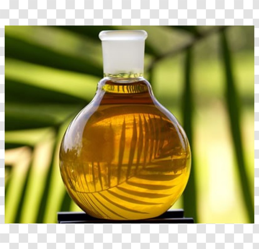 Palm Oil Kernel Cooking Oils Transparent PNG