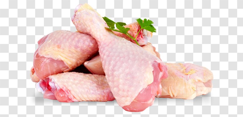 Chicken Meat Buffalo Wing Raw Foodism - Hen Transparent PNG