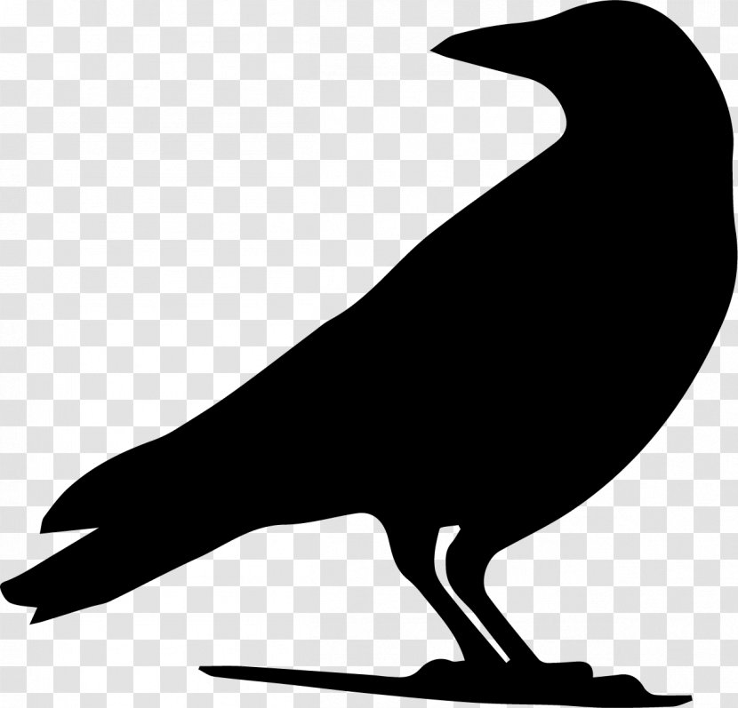 Drawing Crow Silhouette Clip Art - Fauna Transparent PNG